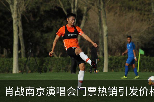 肖战南京演唱会门票热销引发价格争议，大麦APP回应黄牛炒作